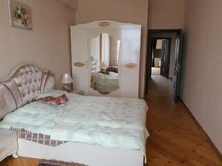 Апартаменты Zarifa Apartment Баку Апартаменты с 1 спальней-5
